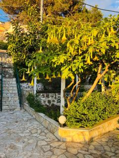 Dolce Vita Villa - 7