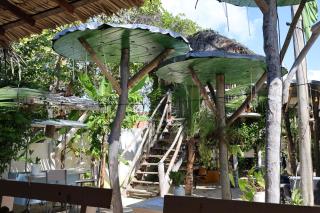 Treehouse Jericoacoara - 5