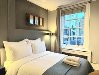 cozy 1 bedroom flat in Mayfair - 2
