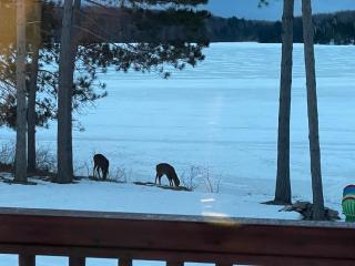 Otter Point Lodge - Waterfront, Boat Dock, Fire Pit - 4