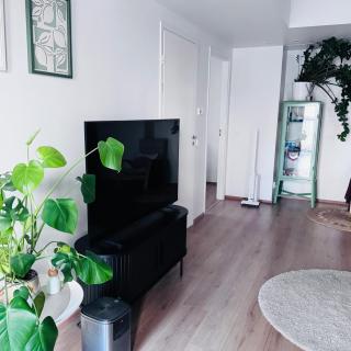 Yuzuaika Cozy Home Bliss - 9