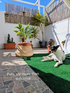 Mediterranean Chill House BBQ & Pools - 6