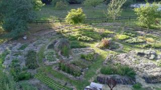 Chambre d hotes foret d Ecouves - 4