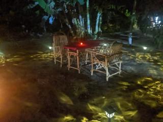 Saadani Pangani camps and tours - 7