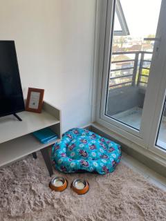 Departamento Central Valdivia - 7