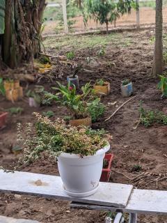 Saadani Pangani camps and tours - 2