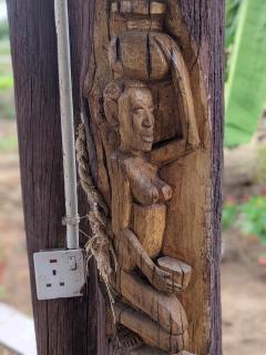 Saadani Pangani camps and tours - 1