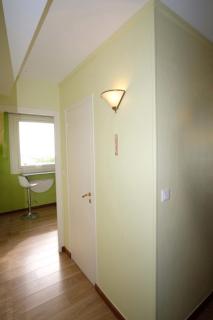 La chouette verte - 6