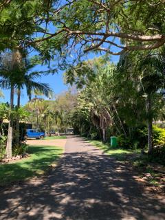 Turtle Cove Lake Front Cabin 300m To Beach - 4