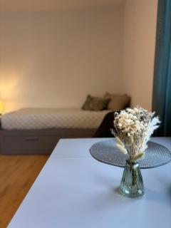 Goethe Studio by Noahkis Apartments - 9