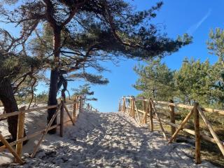 Domki nad morzem Sasino Mojo Miodno Checz - 8