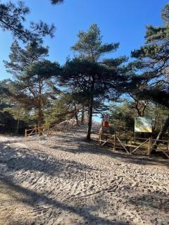 Domki nad morzem Sasino Mojo Miodno Checz - 6