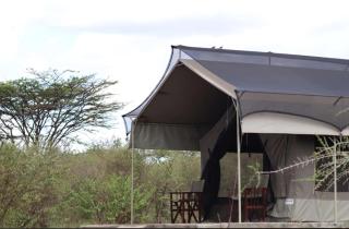 Wild Enthusiasts Camps - 1