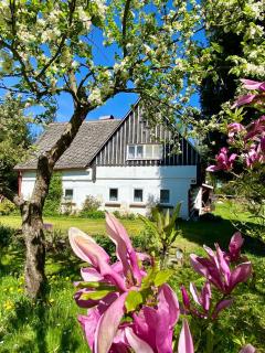 Valdovínka - chaloupka pro 10 na polosamotě - 0