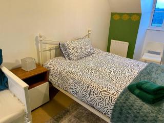 Room Close to Hospital, County Hall & St Lukes Col - 3