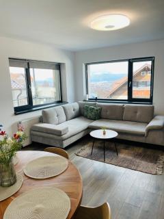 Milescu Residence Center - 1