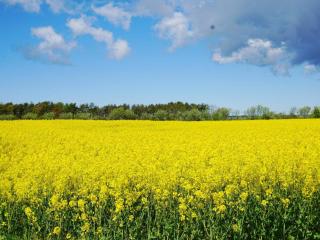 4 person holiday home in Hemse - 6