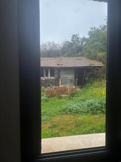 The house in the Moshav - 3