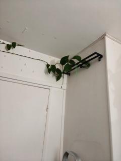 Elegant apartment - 2