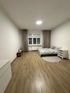 Grand apartmán v Centru Ostravy - 7