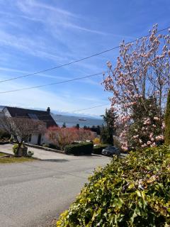 Sunset Ocean Retreat - 2