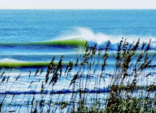 Surfing Turtle Inn - 2