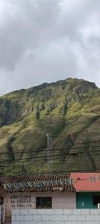 La Salvaje Bazar Mágico - 0