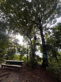 A Casa Da Ilha Cotijuba - 4