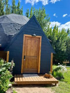 Domo Siempre verde - 0