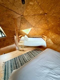 Domo Siempre verde - 4