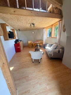 Domo Siempre verde - 2