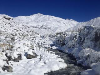 La Araucaria - 3