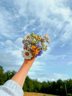 Red Wooden Cabin In Småland With Unexplored Forest - 3