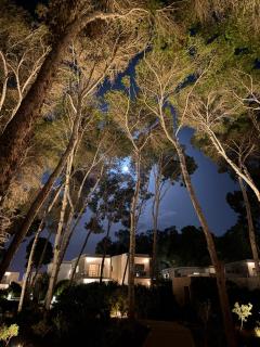 Radisson Blu Apartment Alhoceima Beach Access - 1