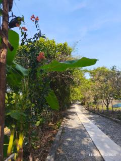 Homestay Mẹ Khang 2,ngay Địa Đạo Củ Chi Bến Đình - 3