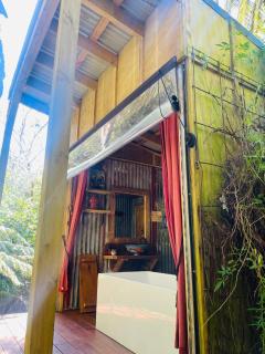 The kauri Tree Pod - Off Grid Experience - 4