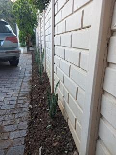 Coty and Reuben's guesthouse - 8