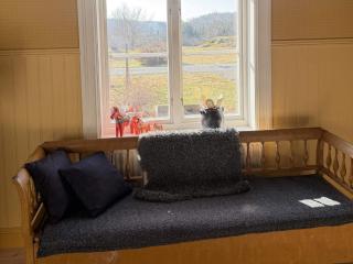 5 star holiday home in ENHÖRNA - 1