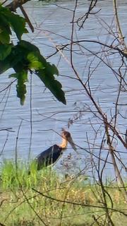 Jungle Nirvana Retreat - 3