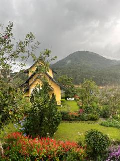 Binh An Village Resort - 2