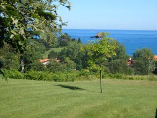 Studio calme, terrasse privative - 4 pers. - FR-1-792-47 - 7