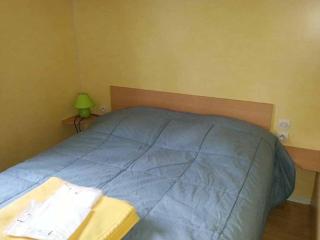 Mobil-home avec animaux admis - 4 pers. - API-1-52-2203 - 6