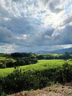 Hacienda Buenos Aires - 9