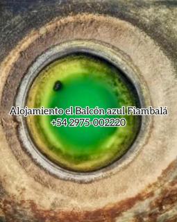 alojamiento el balcón azul Fiambalá - Fiambalá - 9