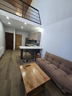 Moderno Loft pleno centro Pucón - 1