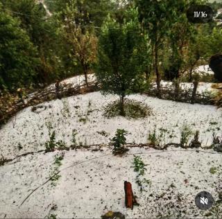 Harender nayal homestay - 5