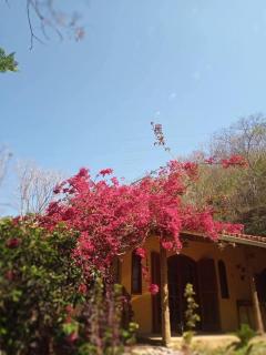 Casa do Mato - 5