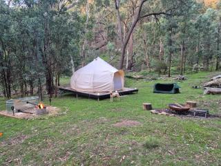 Blue Mountains Glamping Retreat - 4
