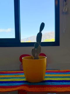 BELLA VISTA - CAFAYATE - 2