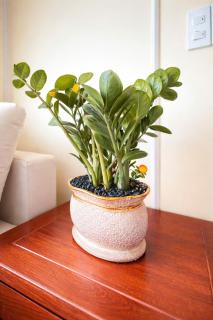 Levi Living - Triệu Việt Vương - 7